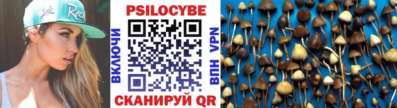 Псилоцибиновые грибы GOLDEN TEACHER Узловая