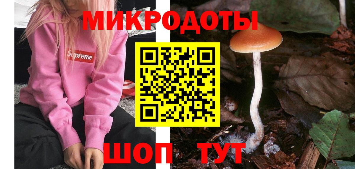 Галлюциногенные грибы Psilocybe  Псилоцибиновые грибы мухоморы  Вход с VPN  Узловая 