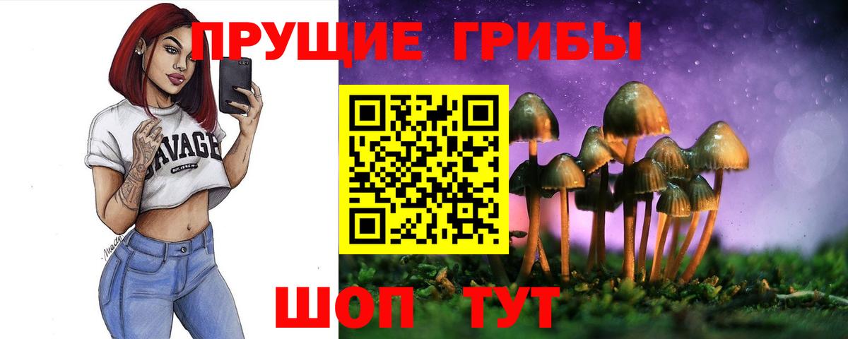 Галлюциногенные грибы Cubensis Узловая